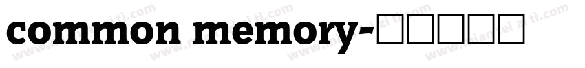 common memory字体转换